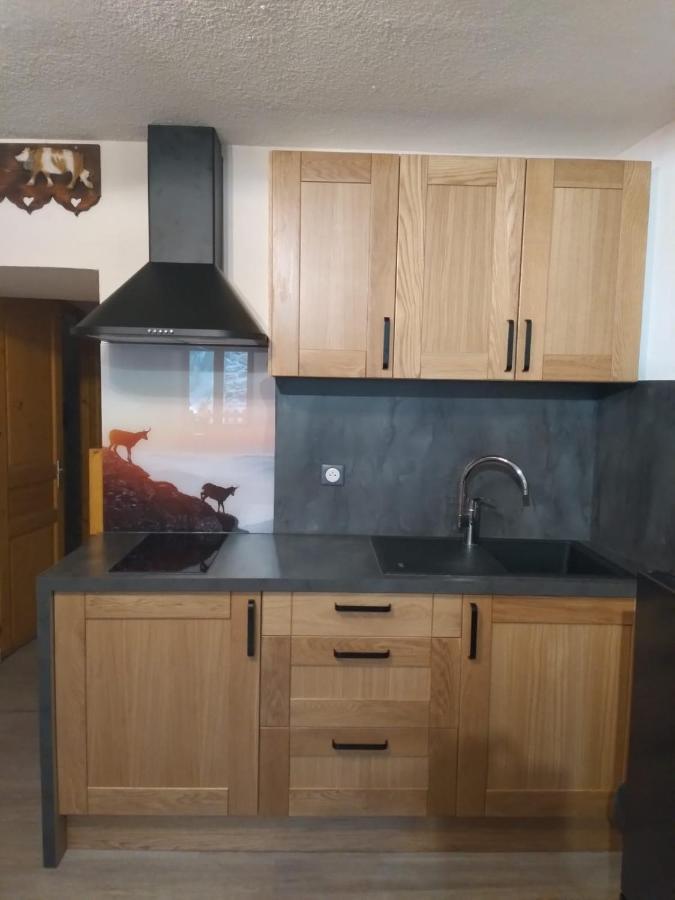 Le Perce Neige Apartment Vaujany