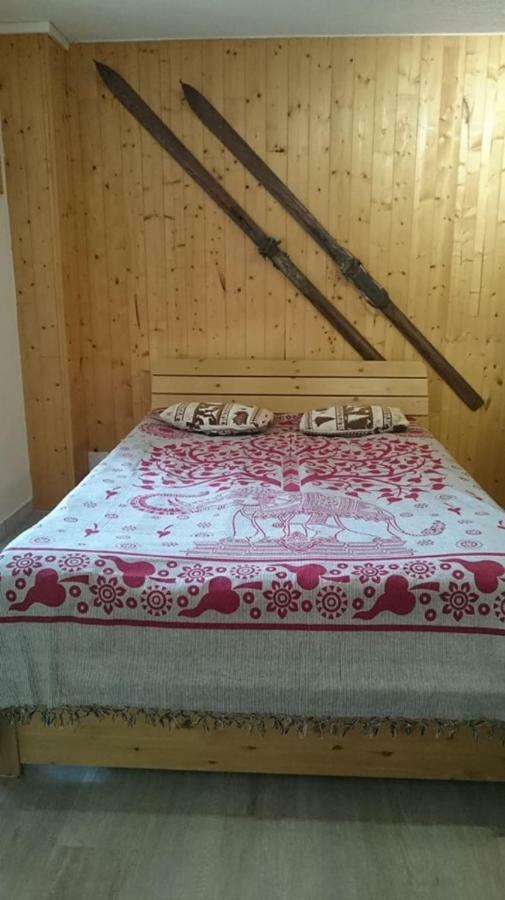 Le Perce Neige * Vaujany